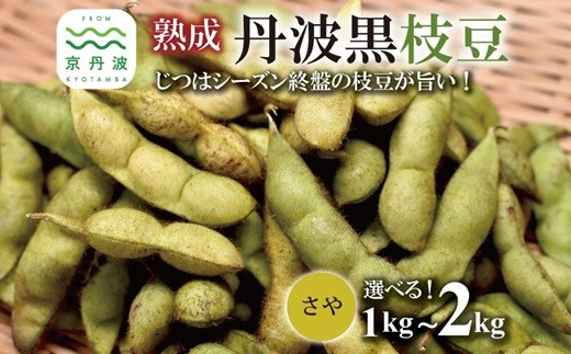 熟成 丹波黒枝豆 さや 選べる 1kg 1.5kg 2kg （京都 京丹波町産 丹波黒