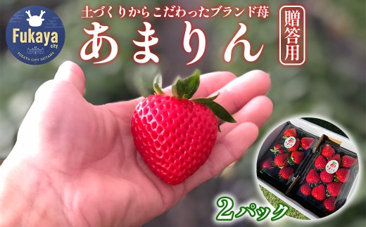 埼玉県産 贈答用 あまりん（2パック入り）【11218-0871】 木口農園