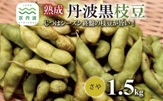 熟成 丹波黒枝豆 さや 1.5kg（京都 京丹波町産 丹波黒大豆）≪秋だけの