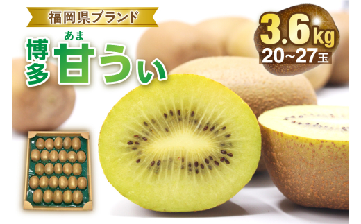 先行予約】【2026年収穫分 先行受付!】福岡県ブランド！キウイフルーツ