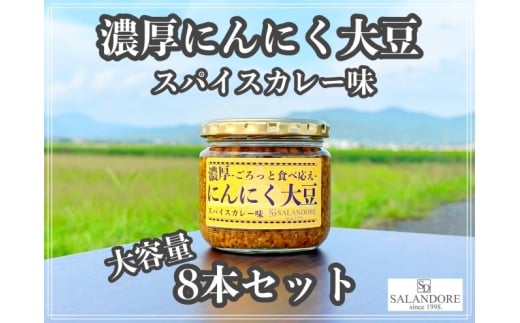 【福岡県朝倉市】大容量 濃厚 にんにく大豆 スパイスカレー味 8本 セット