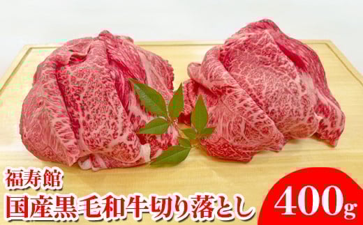 yޗǌsz Yјa ؂藎Ƃ400