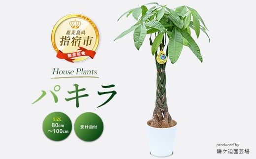 ywhsz2026N3{`yϗtAzpL80cm`100cm(|/016-1446) 썑ň ϗtAIA t CeA  ItBX  v[g Mtg