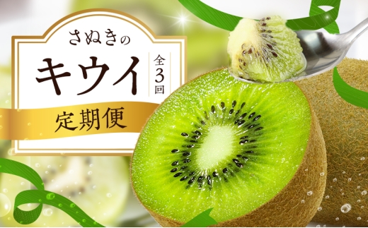 y쌧sz[4631-2734]ʂ̃LECցi3jyʂS[hLECzyʂLEC zy΃LECz