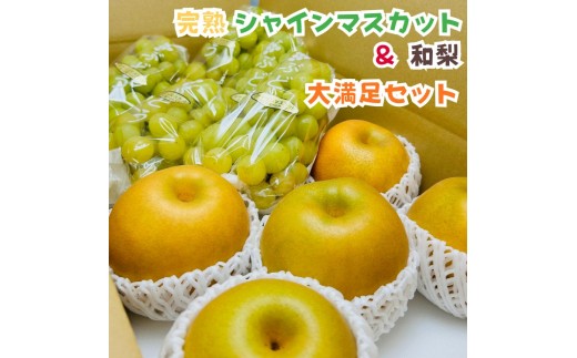 ya̎RLc쒬zms\E2026Nn̂ꊮnVC}XJbgƘa 喞Zbg 4kg