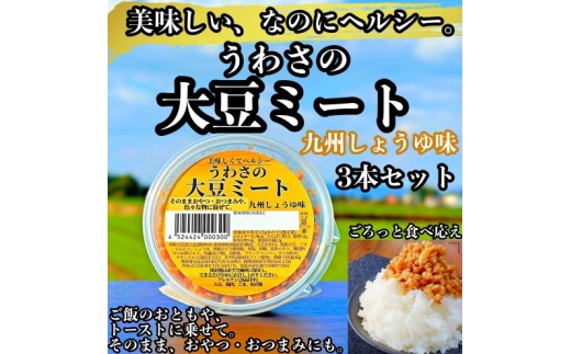 【福岡県朝倉市】大豆 加工品 うわさの大豆ミート 九州しょうゆ味 80g×3本 セット 健康 ヘルシー