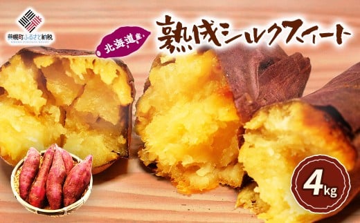 ykCyzkCY@nVNXC[g@4kg y ӂ邳Ɣ[ lC  LO ܂ Tc}C XC[c XC[g|eg Ă Ă ₫ ӂ w