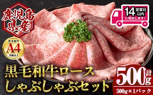 y]sz14cƓȓIYјa[X ԂԗpZbg (v500gE500g×1) Y  Ԃԁŷ[zA953