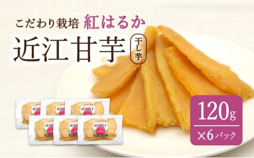 yꌧČszߍ]Èij|  ܂ g͂邩  XC[c  [5694-1129]