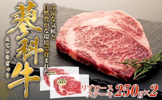 y쌧Ȓzȋ u[XXe[L250g×2