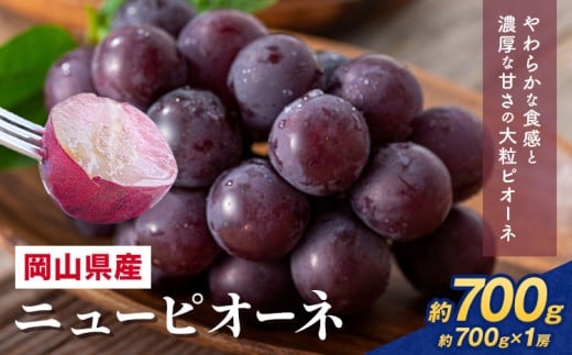 【岡山県浅口市】【2026年先行予約】 岡山県産 ニューピオーネ詰合せ 選べる 計 700g 株式会社はちや《2026年6月下旬‐7月下旬頃出荷》岡山県 浅口市 ぶどう 葡萄 フルーツ ギフト 果物 デザー