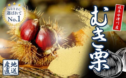 【岐阜県中津川市】【中津川産】天然むき栗 500g 和菓子・栗ご飯に最適!瞬間冷凍 F4N-2575