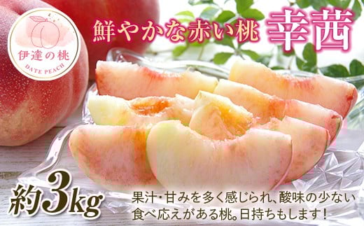 【福島県伊達市】【2026年出荷分先行予約】福島県産 幸茜 約3kg (約10玉) 一般社団法人つきだて振興公社 大玉 固め 伊達の桃 桃 フルーツ 果物 もも モモ momo F20C-643