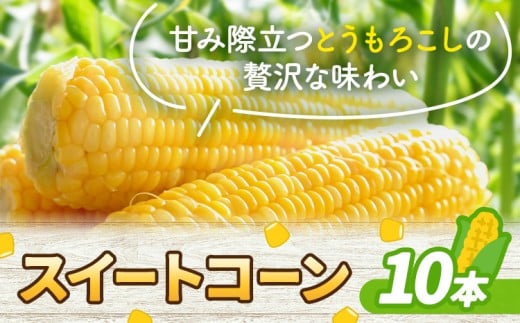 yF{kzƂ낱 XC[gR[ 10{ Xs2026N5{-6{oׁtF{ k  R[ 冋o R[o^[ ĂƂ낱 R[X[v