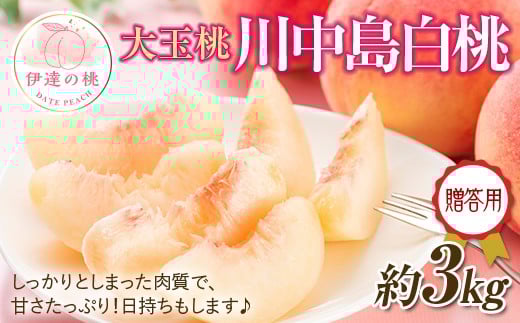 yɒBszy2026Noוs\zY 쒆 3s (10) ʎВc@lĐU   蕨  Mtg ɒB̓  t[c ʕ   momo F20C-521