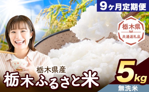 yȖ،ؒzy9ցz Ȗ ӂ邳ƕ  5kgs͗Xo׊JntȖ، ؒ    Y   ٓ ɂyȖ،ʕԗiz