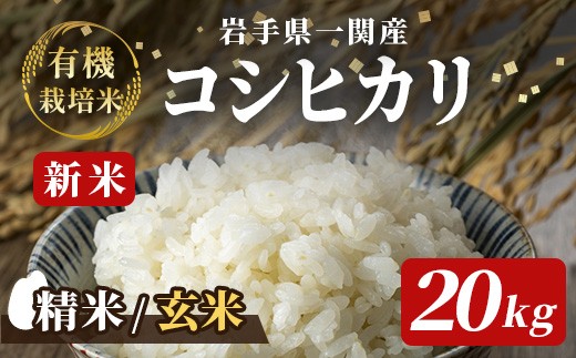 y茧֎szߘa7NY V L@͔| RVqJ 20kg yIׂ鐸āEāz