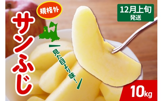 yX܏쌴szy2025N12{z  Tӂ  10kg KiO x X ܏쌴 s T ӂ 񂲋KiO