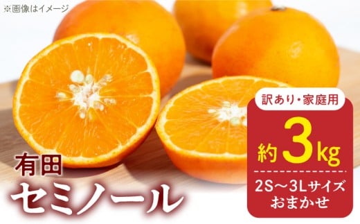 ya̎R󒬁zDZ6224_y2026Ns\z󂠂 ƒp Z~m[  a̎R Lc  2S~3LTCY 3kg