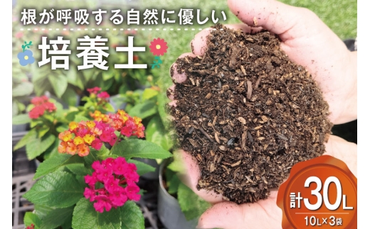 y{茧sz|{y 10L 3 v 30L [n {茧 s 452061633] y ӂӂ A ϗtA K[fjO | ƒ؉  |{ y A Lb`K[f Ԓd 