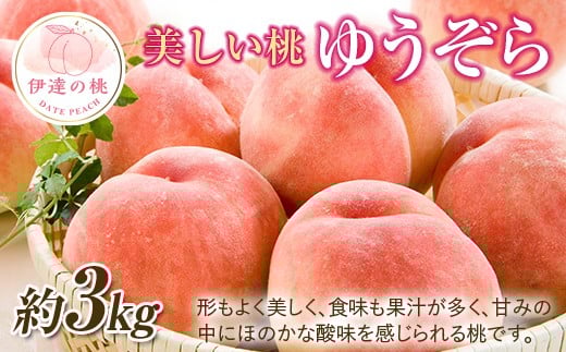 yɒBszy2026Noוs\zY 䂤 3s (10) ʎВc@lĐU  ł ɒB̓  t[c ʕ   momo F20C-642