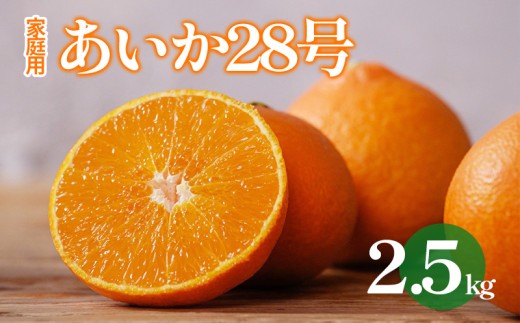 yQRsz28 2.5kg y2025N12珇 z ƒp  ݂ k  t[c Rs Q ʌ