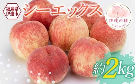 yɒBszy2026Noוs\zY V[GbNX 2kg (5`7)   ɒB̓  t[c ʕ   momo F21C-229