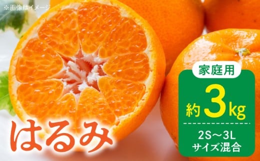 ya̎R󒬁zDZ6229_yӂ邳Ɣ[Łzy2026Ns\z󂠂 ƒp ͂ a̎R Lc 2S~3LTCY 3kg