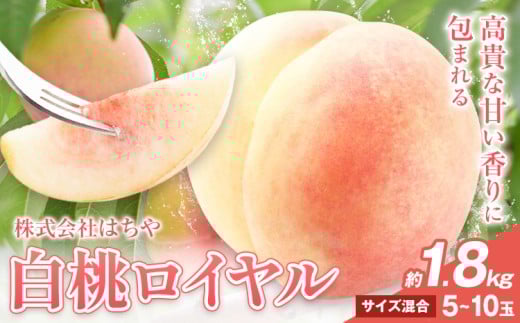 【岡山県浅口市】【2026年先行予約】岡山白桃 等級 ロイヤル 約1.8kg《2026年7月上旬‐8月下旬頃出荷》もも モモ 岡山 国産 フルーツ 果物 岡山県 浅口市 株式会社 はちや フルーツ モモ 果物 青