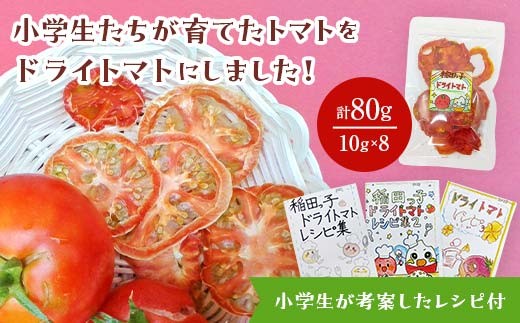 期間限定】【稲田学園×ふるさと納税】小学生が作りました