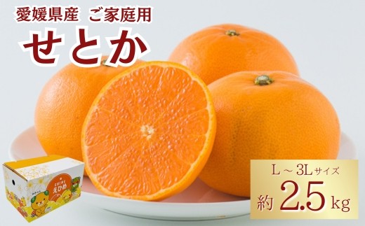 みかん 愛媛 せとか（約2.5kg）L～3Lサイズ ご家庭用 バラ詰め 【2月