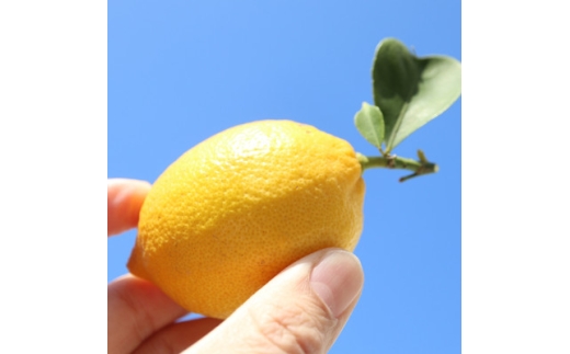 y쌧zIn@2kg(10`20)y1680208z