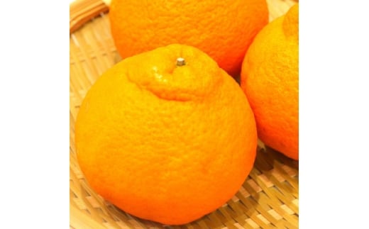 【香川県】ハウス不知火(中晩柑)約2kg(7〜9玉)【1680221】