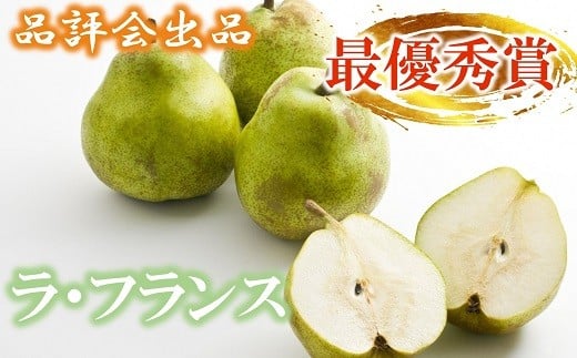 yR`zszi]oi yŗDG܁z EtX 3kg (10) sߘa7N1122Ĕt wJAR`܁x zs_ƍ R` zs [1071]