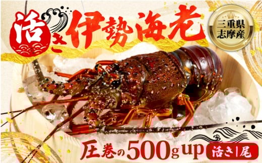 yOduszɐCV 500g uv ① ʌ Ԍ ɐCV ɐGr ɐ CV Gr CZGr hg Ă X`  {C GrtC AW VN CN Mtg  