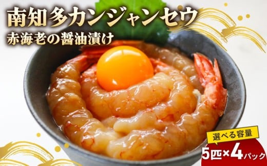 ymmzԊCV mJWZE 5C×4 CV̏ݖЂ CV  Gr VN O  ɍ R ɍ  ɍ  ̂  ؍ ؍O 