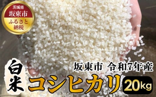【茨城県坂東市】No.412 白米 コシヒカリ20kg【令和7年産】 / こしひかり 令和7年 新米 米 お米 おこめ こめ コメ 精米 白米 ご飯 国産米 20kg 20キロ おいしい お取り寄せ 産地直送 産直 坂東市