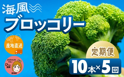 ymLszs\ubR[ 10{ ×5񂨓͂ L Y ~lՂ C  Ƒ e L Ƃ̂₳ őlCI m Ls S