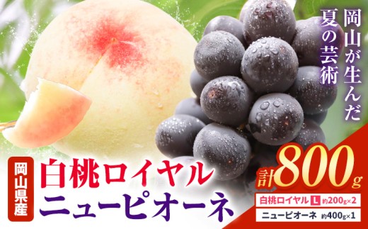 yRszy2026Ns\zRY C j[sI[l l Iׂ v800g Ђ͂s2026N7{]8{oׁtR s   Ԃǂ  t[