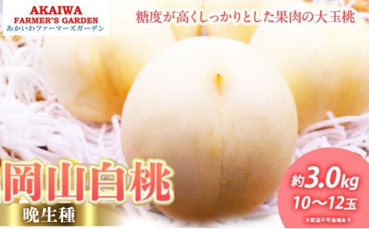 yRԔ֎sz 2026N s\ R  (Ӑ) 3.0kg 10`12  R Ԕ֎sY t[c ʕ t@[}[YK[f fU[g {̉ʕ {̃t[c