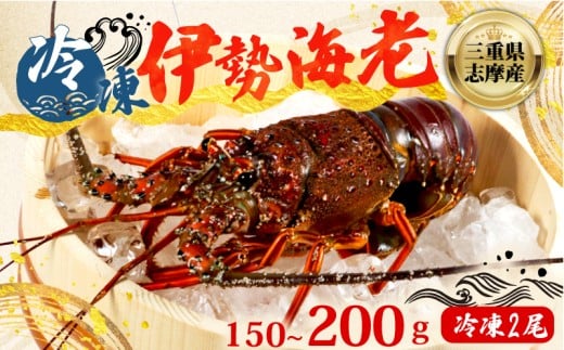 yOduszɐCV 150 ~ 200g Ⓚ 2 ʌ Ԍ ɐCV ɐGr ɐ CV Gr CZGr hg Ă X`  {C GrtC AW VN CN Mtg  O