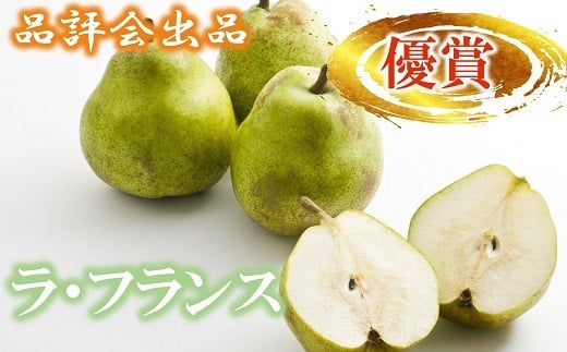 yR`zszi]oi yD܁z EtX 3kg (10) sߘa7N1122Ĕt wJAR`܁x zs_ƍ R` zs [1074]