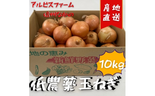 y쌧sz_ōꂽÂʂ˂@10kgy1626400z