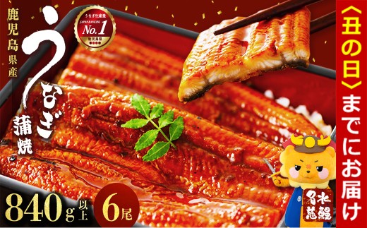 yuzuszyN̓܂łɔzzYȂ V 6v840gȏい Ȃ V EiM 6 Y  ΂₫ Ⓚ ^ ^pbN  ȏd Ђ܂Ԃ ^