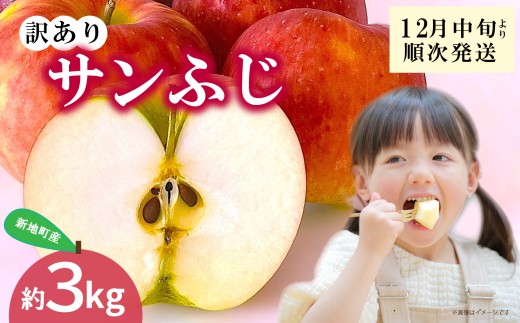 yVnzVnY  Tӂ 󂠂  3kg 1  | ʕ  S t[c { Yn _ƒ Hi lC     Vn A 킯