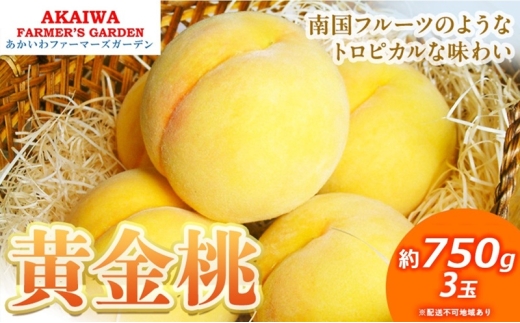 yRԔ֎sz 2026N s\  750g 3  R Ԕ֎sY t[c ʕ t@[}[YK[f ʕ