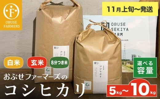 y쌧z{zRVqJ   8  5kg  10kg Iׂ ĕ@ e m Ԃt@[}[Y n  R    쌧Yy2025N11{`z