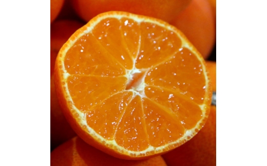 y쌧zg݂@2kg(20`30)y1680215z