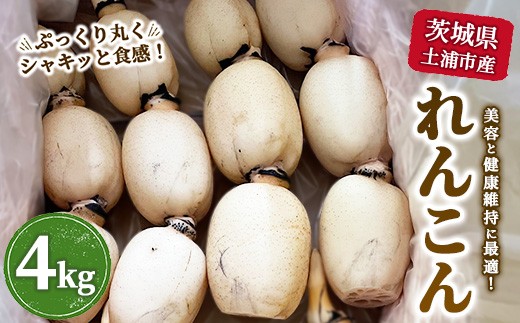 y錧yYsz錧yYsY񂱂4kg b eƌN F񂱂 ̂ꂽ Yn @ kCEEւ̔zs