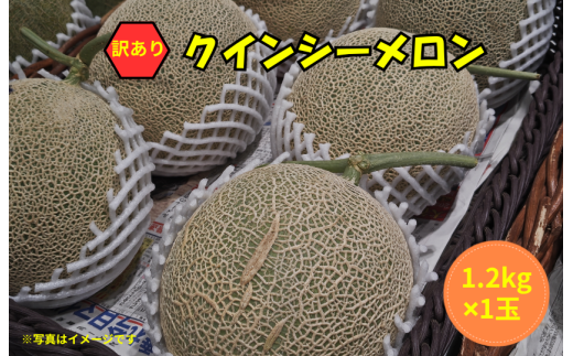 【茨城県鉾田市】【訳あり】クインシーメロン 1玉(1.2kg×1)